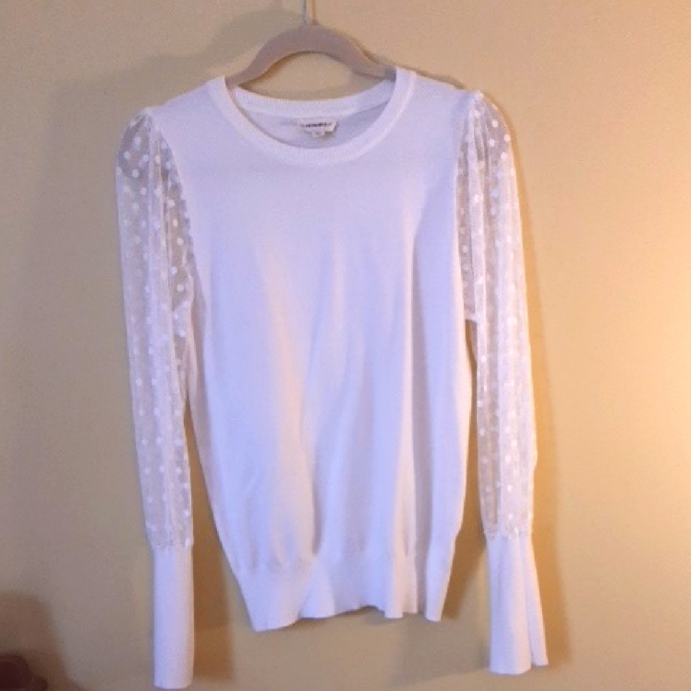 White Top with Sheer Swiss Dot Sleeves